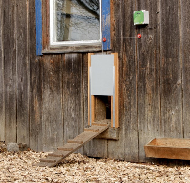 Ensemble porte poulet automatique 30x40cm