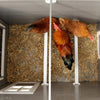 Poulailler eco stable en plastique barney