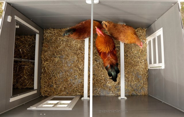 Poulailler eco stable en plastique barney
