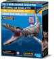 4m déterrez votre dinosaure - mosasaure - kit d'excavation et modèle de squelette - kidzlabs - 8+