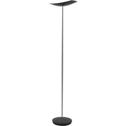 Lampadaire alba cup led noir