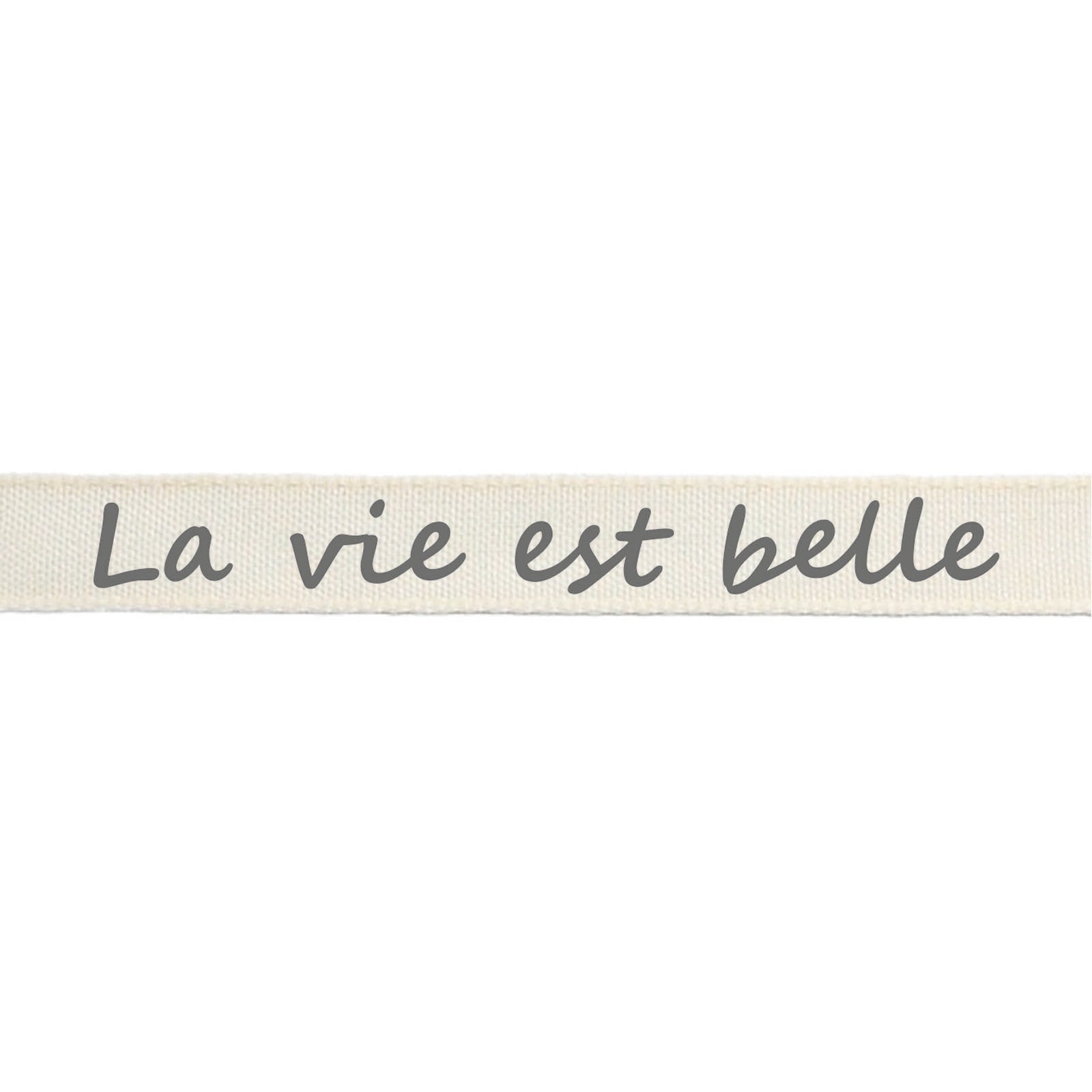 Vaessen creative • ruban 2mx15mm fr la vie est belle