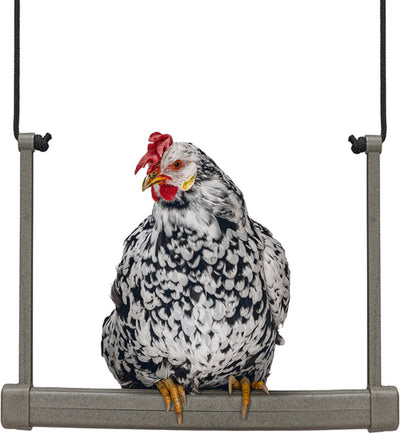 Balançoire poulet Beeztees - jouets poulet - 100% recyclé - 40x5x30 cm