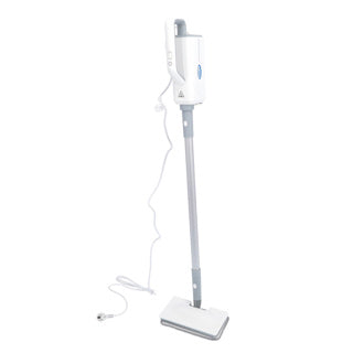 Cleaneur de vapeur professionnel