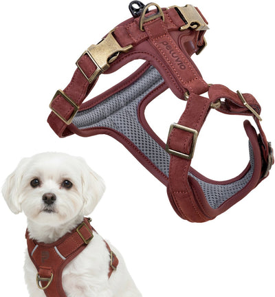 Peluvio Lord - Harnais pour chien en cuir - Taille XS - Harnais de protection ergonomique en cuir naturel - Contrôle du confort - Boucles en cuivre durables