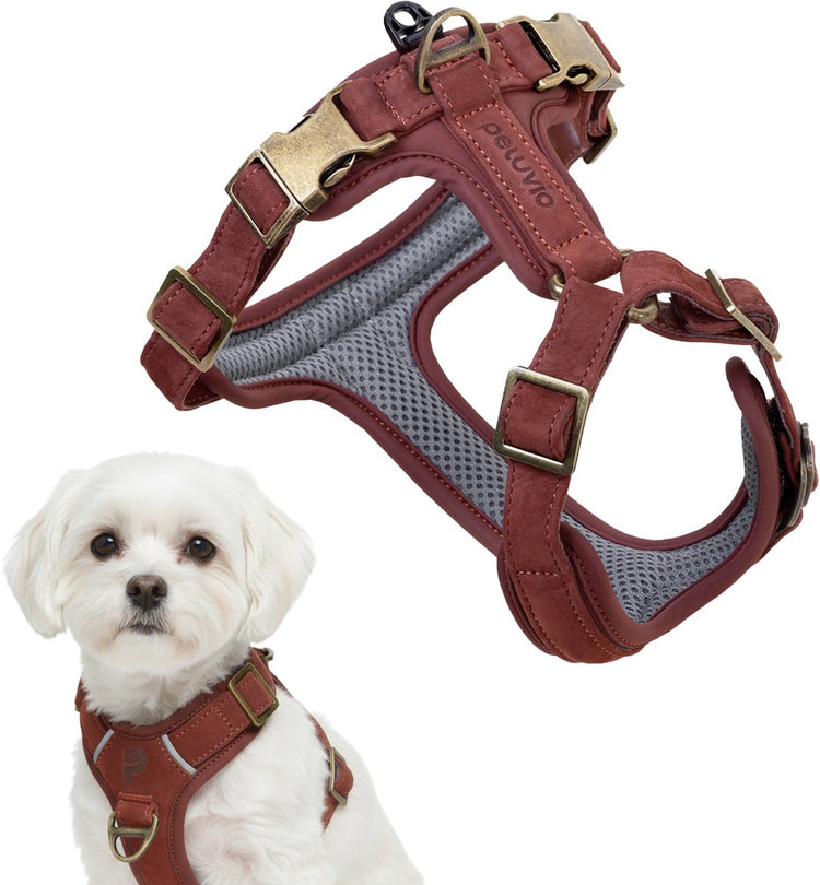 Peluvio Lord - Harnais pour chien en cuir - Taille XS - Harnais de protection ergonomique en cuir naturel - Contrôle du confort - Boucles en cuivre durables