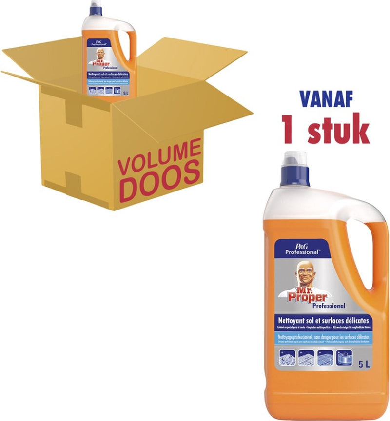 Nettoyant tout usage Mr. Clean Professional 5