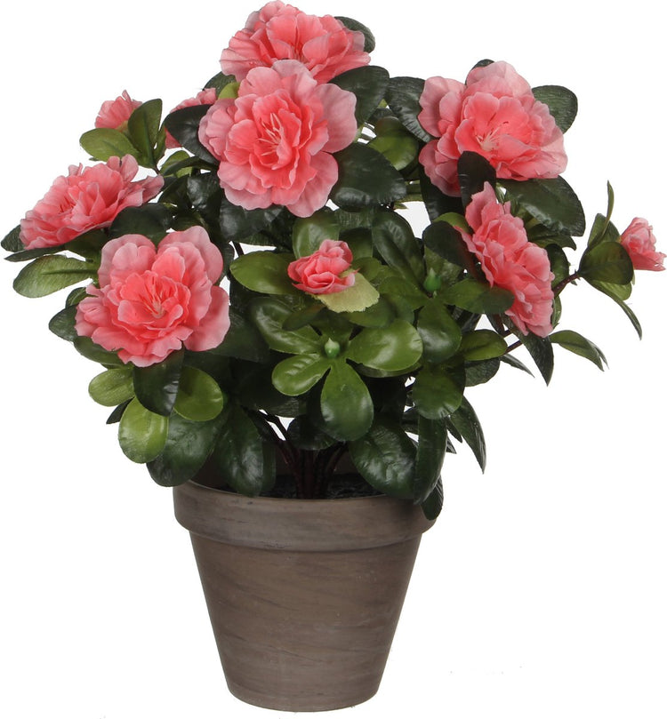 Plante artificielle décorations en mica - azalée - couleur vert pêche - 27 cm - avec de belles fleurs