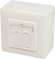 Boîte montée en surface Dsit cat6a utp stp - ivoire