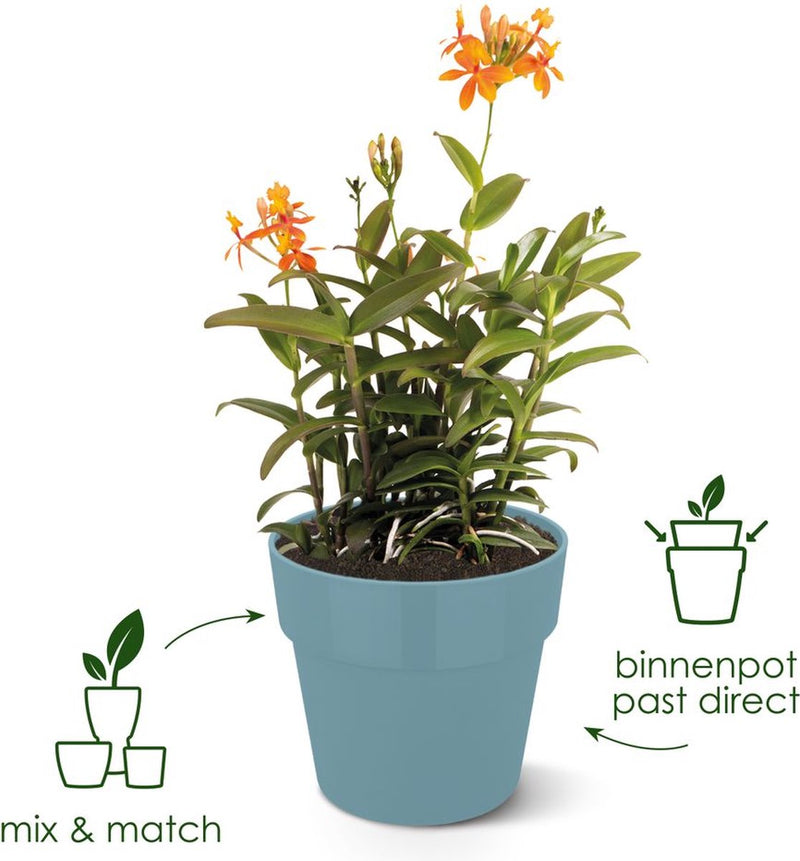 Elho b.for original round 25 - pot de fleur d'intérieur - 100% plastique recyclé - ø 24,7 x h 23,2 cm - noir vivant