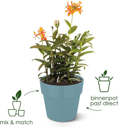 Elho b.for original round 25 - pot de fleur d'intérieur - 100% plastique recyclé - ø 24,7 x h 23,2 cm - noir vivant