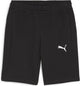 Puma teamgoal casuals shorts pantalon de sport pour hommes - noir- blanc