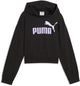Puma ess 2 couleur no 1 logo sweat à capuche court tr g