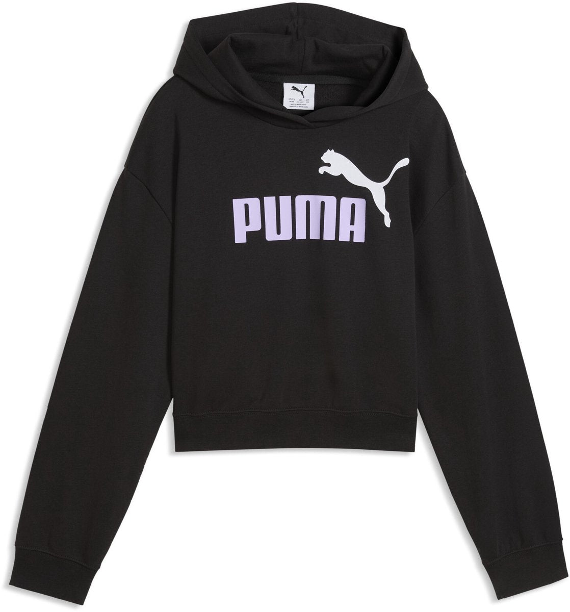 Puma ess 2 couleur no 1 logo sweat à capuche court tr g