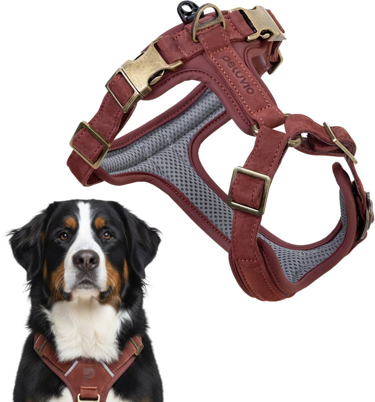 Peluvio Lord - Harnais pour chien en cuir - Taille XL - Harnais de protection ergonomique en cuir naturel - Contrôle du confort - Boucles en cuivre durables