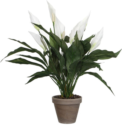 Plante artificielle décorations Mica - plante cuillère spathiphyllum - blanc - h50 x d40 cm