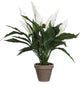 Plante artificielle décorations Mica - plante cuillère spathiphyllum - blanc - h50 x d40 cm