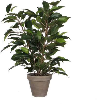 Décorations en mica ficus Natsja plante artificielle verte