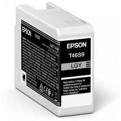 Cartouche d'encre originale Epson ultrachrome pro 10 c13t46s900 gris clair