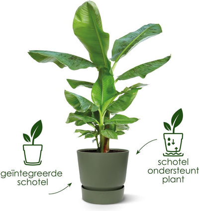 Elho greenville round 20 - pot de fleur d'extérieur avec réservoir d'eau - 100% plastique recyclé - ø 19,5 x h 18,4 cm - blanc