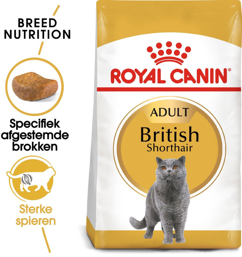 Royal Canin Canin British Shorthair