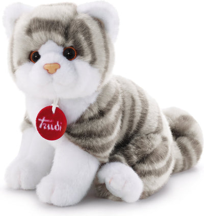 Chaton brad blanc gris 20 cm