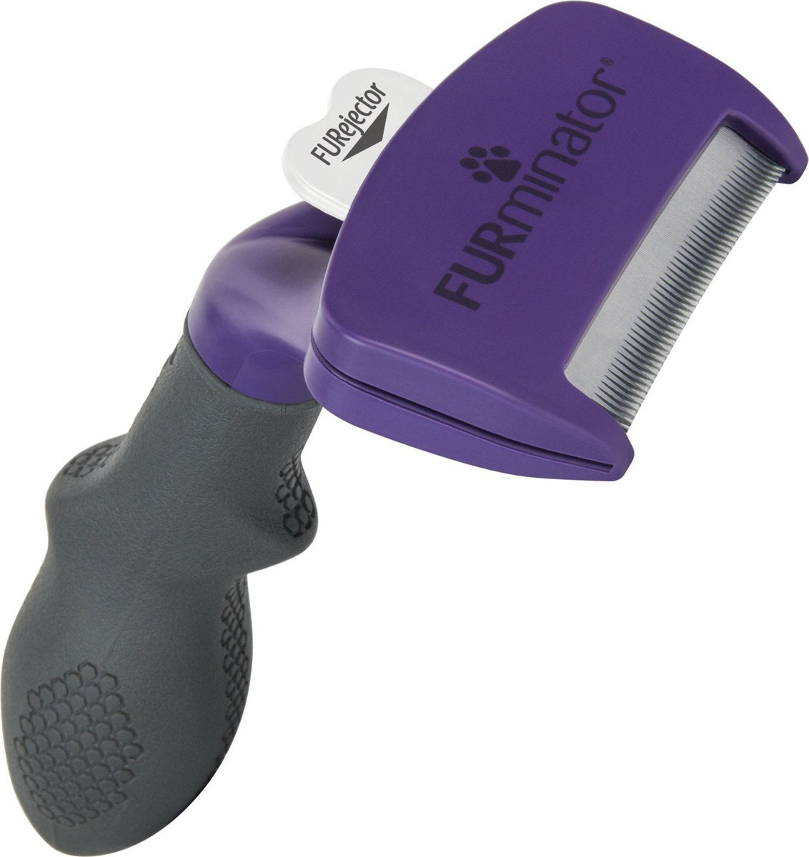 Chat Furminator poils courts - l