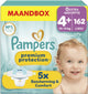 Pampers