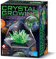 4m science et jeu - culture de cristaux - espace - culture de cristaux - vert - 10+
