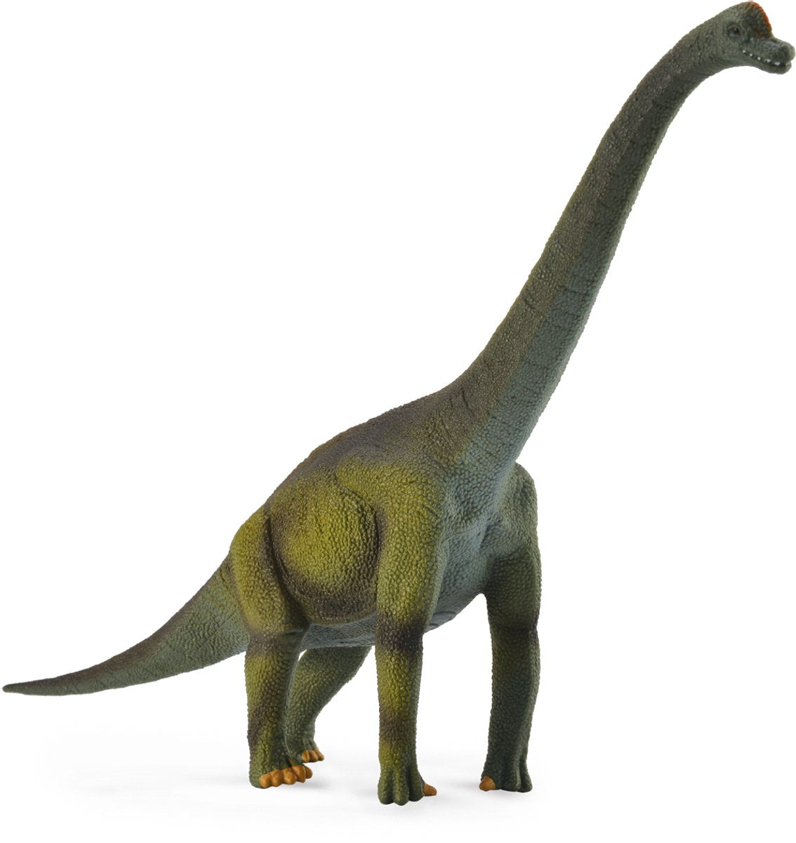 Figurine Collecta - brachiosaure - (l) - préhistoire - peint à la main - dinosaure - miniature