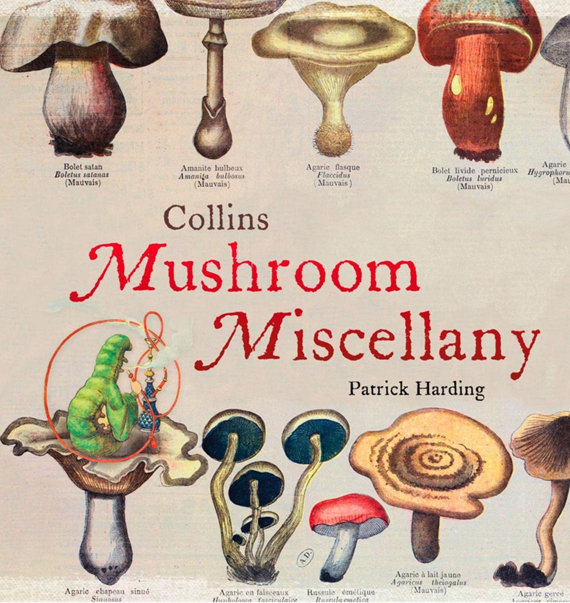 Mélange de champignons Collins