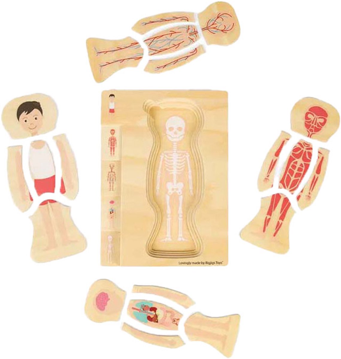 Bigjigs en bois anatomiepuzzel - garçon, 26e.