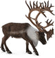 Figurine Collecta - cerf de la forêt - (xl) - animaux de la forêt - peint à la main - miniature