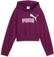 Puma ess 2 couleur no 1 logo sweat à capuche court tr g