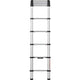 Échelle télescopique telesteps 20130-501 argent