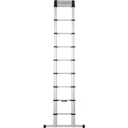 Échelle télescopique telesteps 20138-601 argent