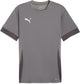 Maillot de sport Puma teamgoal matchday jersey pour homme - fonte - blanc-gris ombre
