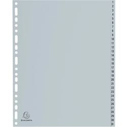 Onglets exacompta 1-31 gris
