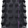 Schwalbe Tire 29 Magic Mary Trail Pro