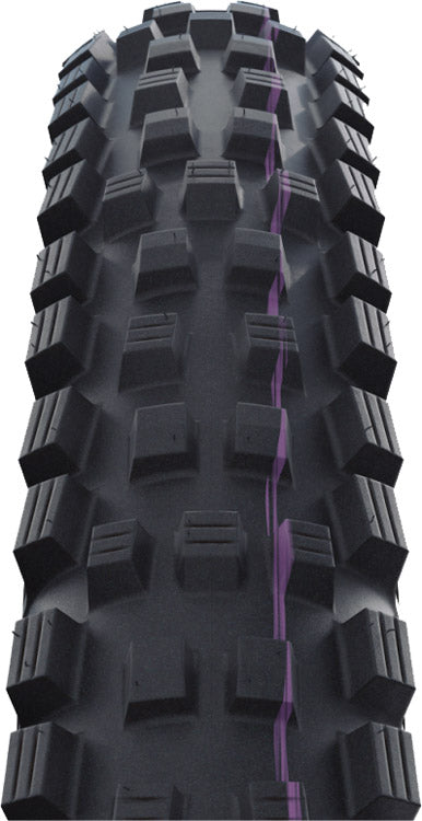 Schwalbe Tire 29 Magic Mary Trail Pro