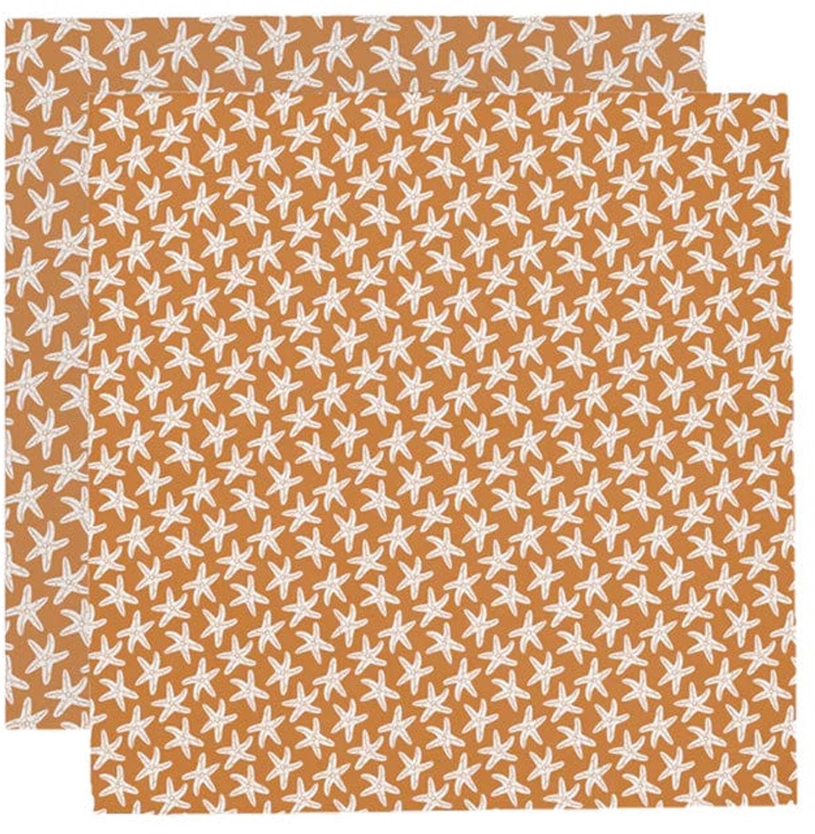 SEASTAR | Tissons hydrophiles orange 110 x 110 cm - 2 pièces