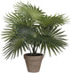 Mica decorations arbuste de palmier artificiel - vert - h30 x d35 cm - qualité supérieure