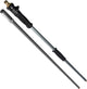 Rallonge télescopique Carpoint 1-2 m avec robinet d'eau