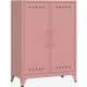 Armoire murale bisley fermid620