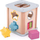 Trieur de forme en bois de bigjigs