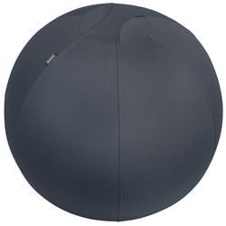 Ballon assis leitz ergo cosy 5279
