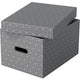 Boîte de rangement Esselte 628283 moyen 19 l gris