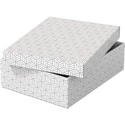 Boîte de rangement Esselte 628284 moyenne plate 9 l blanc