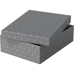 Boîte de rangement Esselte 628285 moyen plat 9 l gris