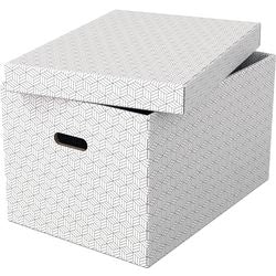 Boîte de rangement Esselte 628286 grande 55 l blanc